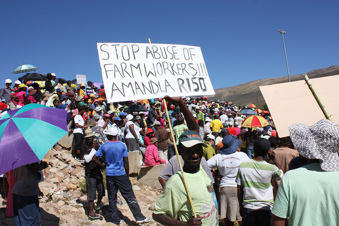 labour-department-can-t-protect-workers-groundup